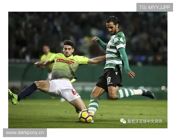 帕利尼亚从布拉加到回归葡萄牙体育的关键转折解析