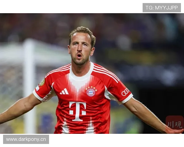 哈里·凯恩拜仁首赛季进球效率与适应性分析